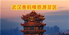 操逼网149